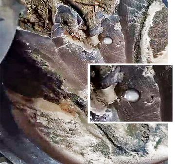 Merocrine Glands