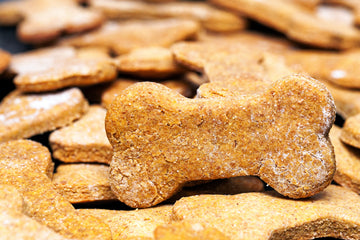 National Dog Biscuit Day - February 23rd