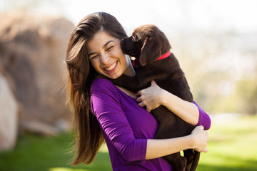 Must-Haves For Bringing Your New Puppy Home!