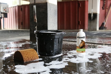 How to give your horse a happy and healthy bathing experience!