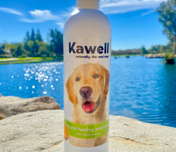 Matico Spray for Pets: A Natural Solution for Skin Healing and Comfort