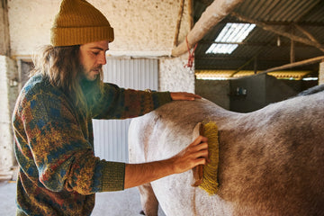 Essential Horse Grooming Equipment List for Every Horse Owner