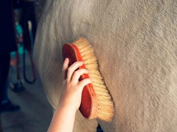 Horse Grooming Tools: Why the Horse Grooming Tools Copper Brush Belongs in Every Barn