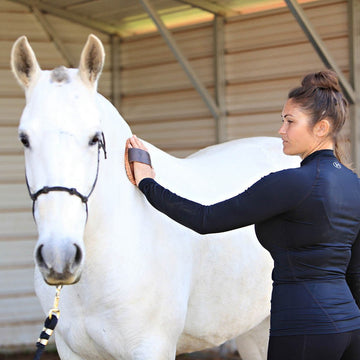 Revolutionary Curry Comb: Enhance Grooming for Your Pets Effortlessly