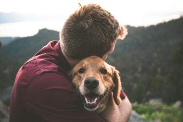 Essential Care for Dogs: A Comprehensive Guide for Pet Owners