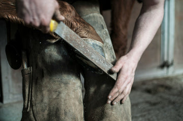 How to Prevent Thrush in Horse Hooves: Natural Solutions That Work