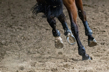 Natural Hoof Care for Horses: A Guide to Healthier, Stronger Hooves