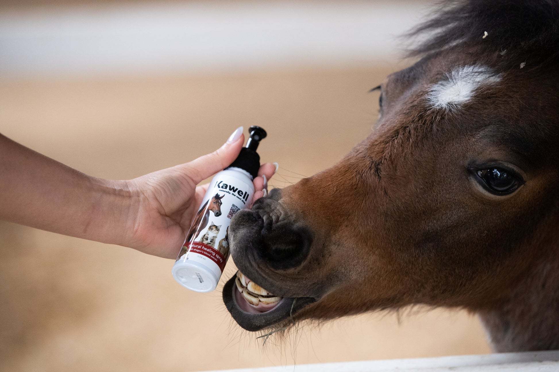 Dragon's Blood Natural Spray | Kawell USA