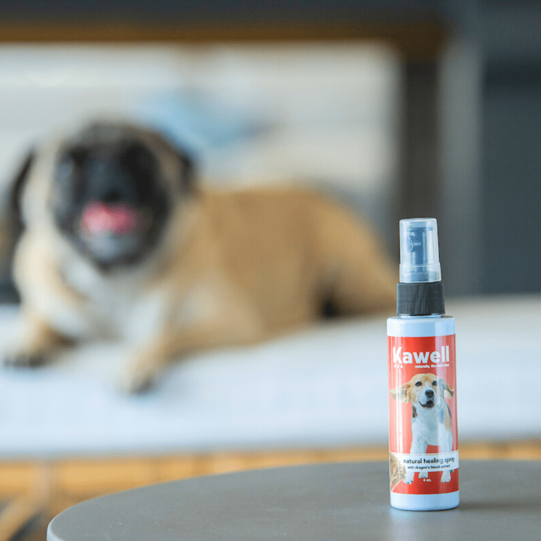 Dragon's Blood Natural Healing Spray for Dogs | Kawell USA
