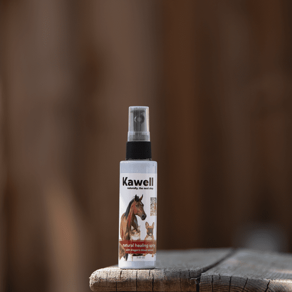 Dragon's Blood Natural Healing Spray - 1