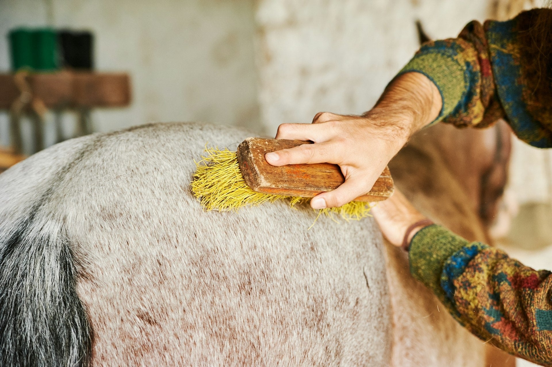 The Essential Guide to Types of Horse Brushes for Grooming Success