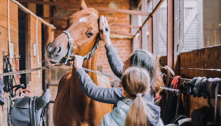 By the IAPF Horseowner Committee