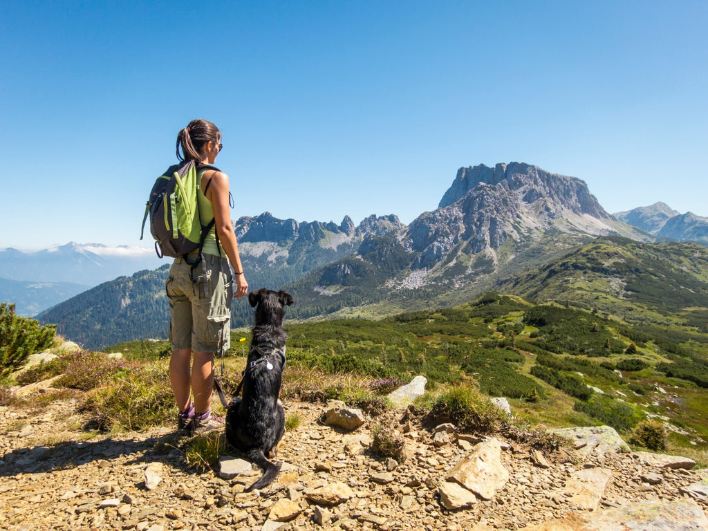 Tips For Hiking With Dogs!
