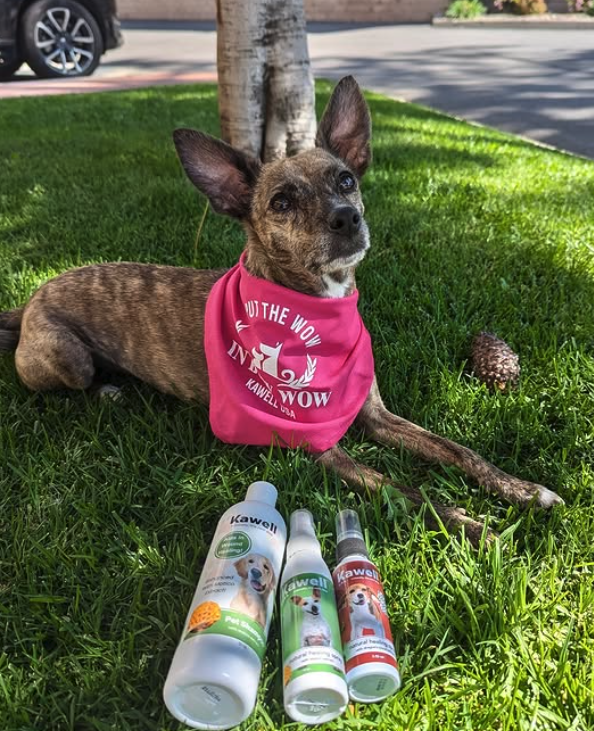 Dragon's Blood Spray for Dogs: Natural Wound Healing Backed by Ancient Wisdom
