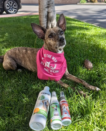 Dragon's Blood Spray for Dogs: Natural Wound Healing Backed by Ancient Wisdom