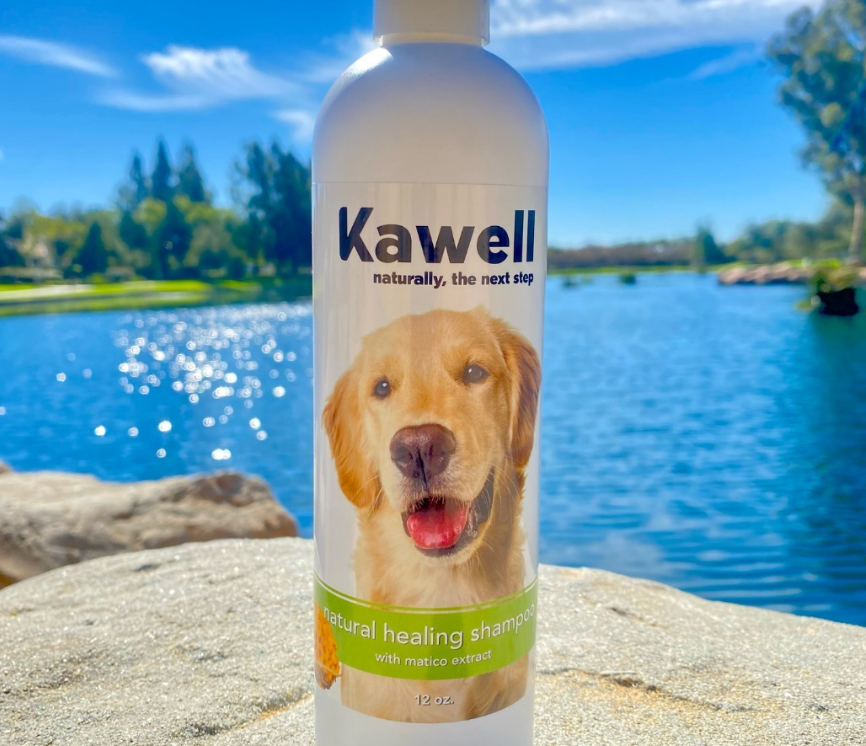 Matico Spray for Pets: A Natural Solution for Skin Healing and Comfort