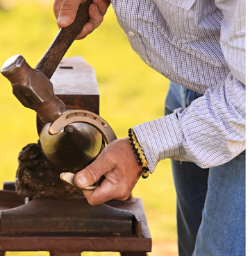 Benefits of Copper Horseshoes: Why They’re a Game-Changer for Hoof Health