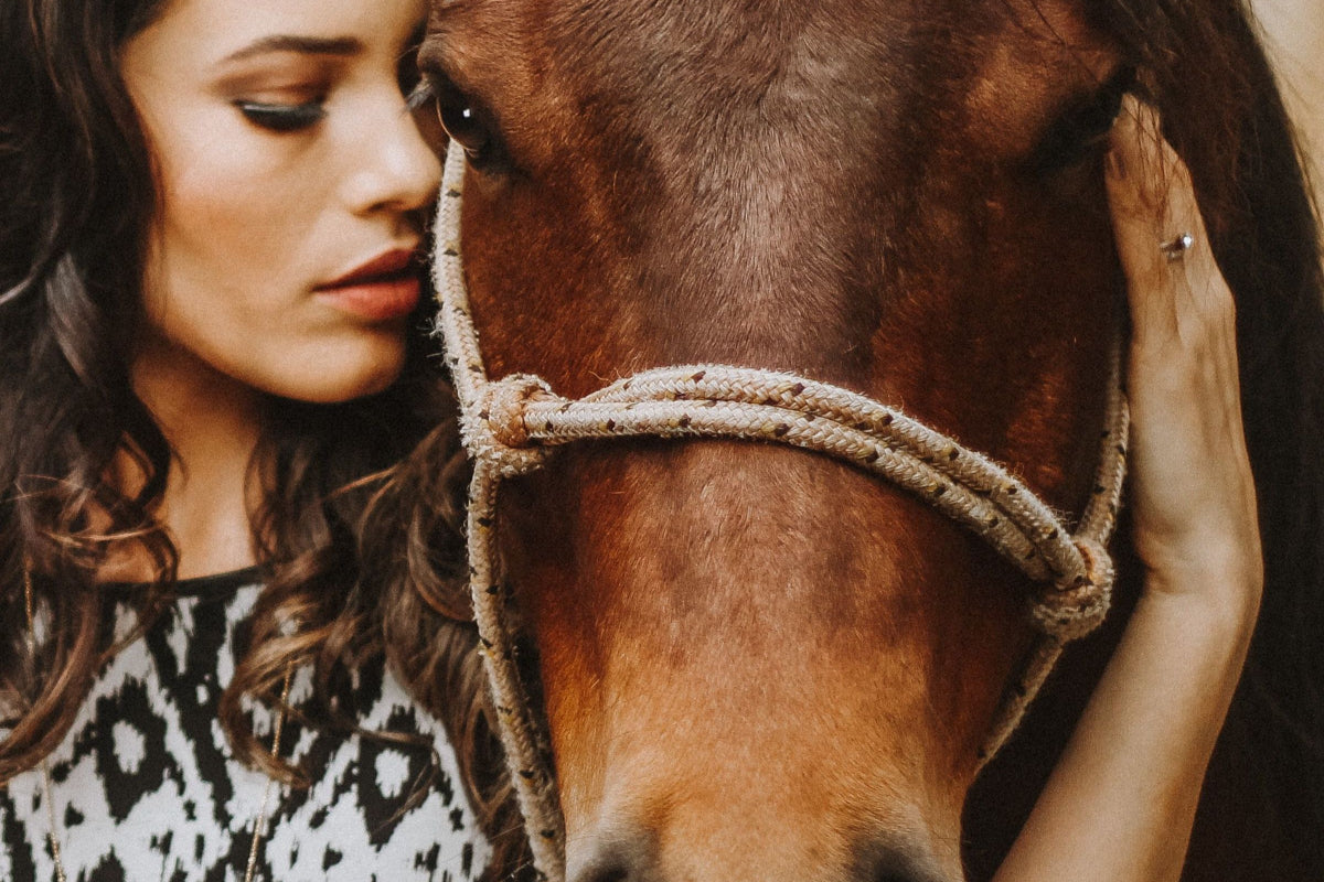 Top Horse Brush Essentials: Curry Combs, Body Brushes and More