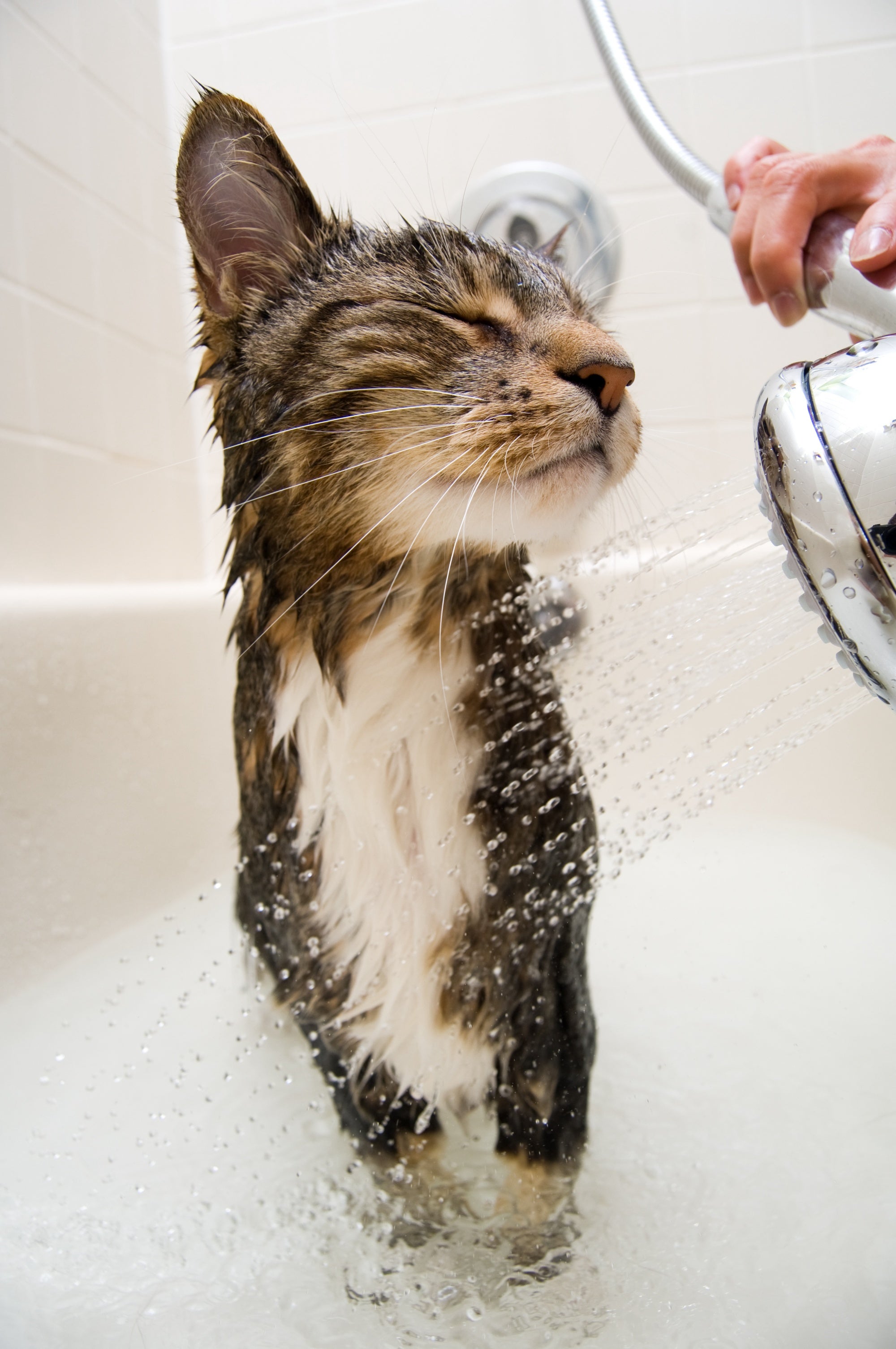 Bathing Tips To Help You Remain Scratch-Free!