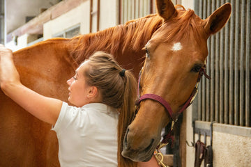 Essential Types of Grooming Brushes for Horses: A Complete Guide