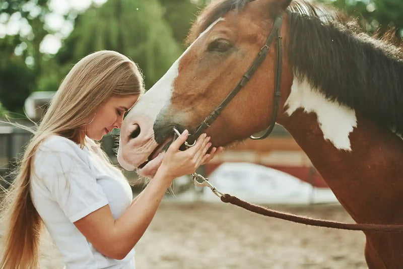 Gift Guide for Horse Lovers and Farriers: The Best Natural Care Bundles