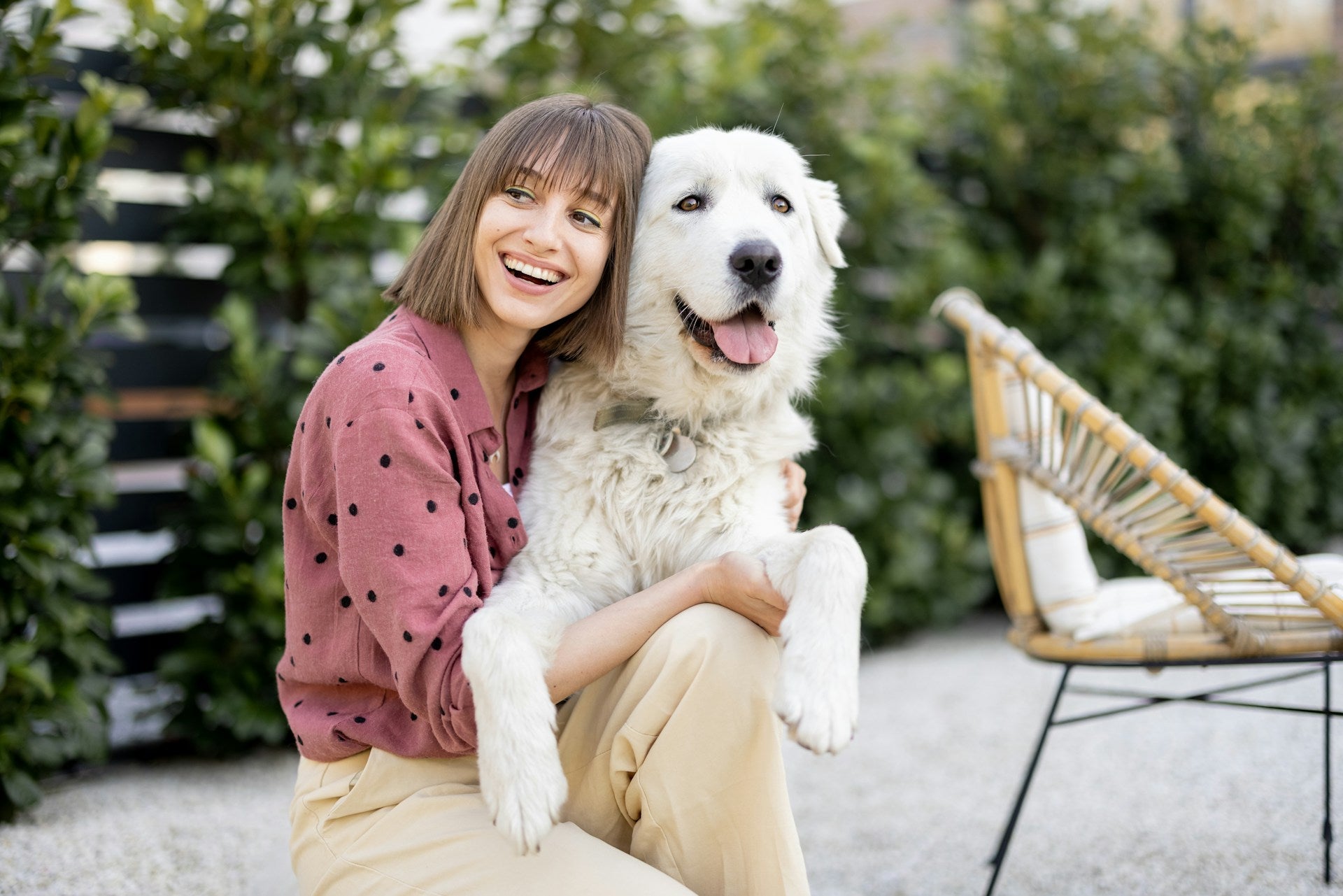 20 Best Dog Fun Activities for Every Season and Personality