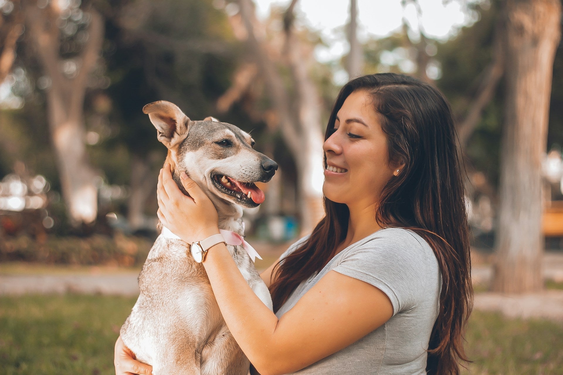 Essential Guide to Caring of Dog: Meeting Their Needs Every Day