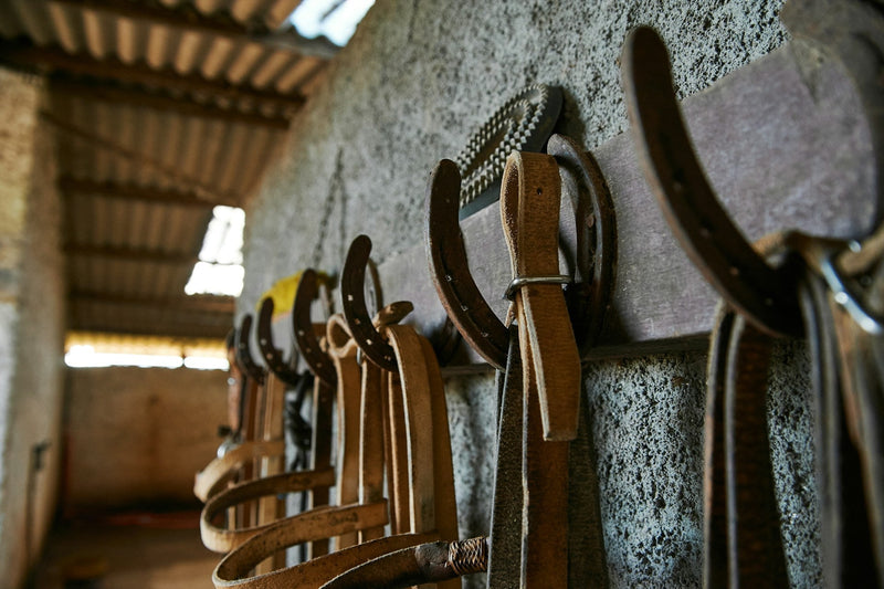 What is a Tack Shop?