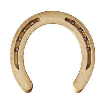 Top Advantages of Copper Alloy Horseshoes for Performance and Recovery