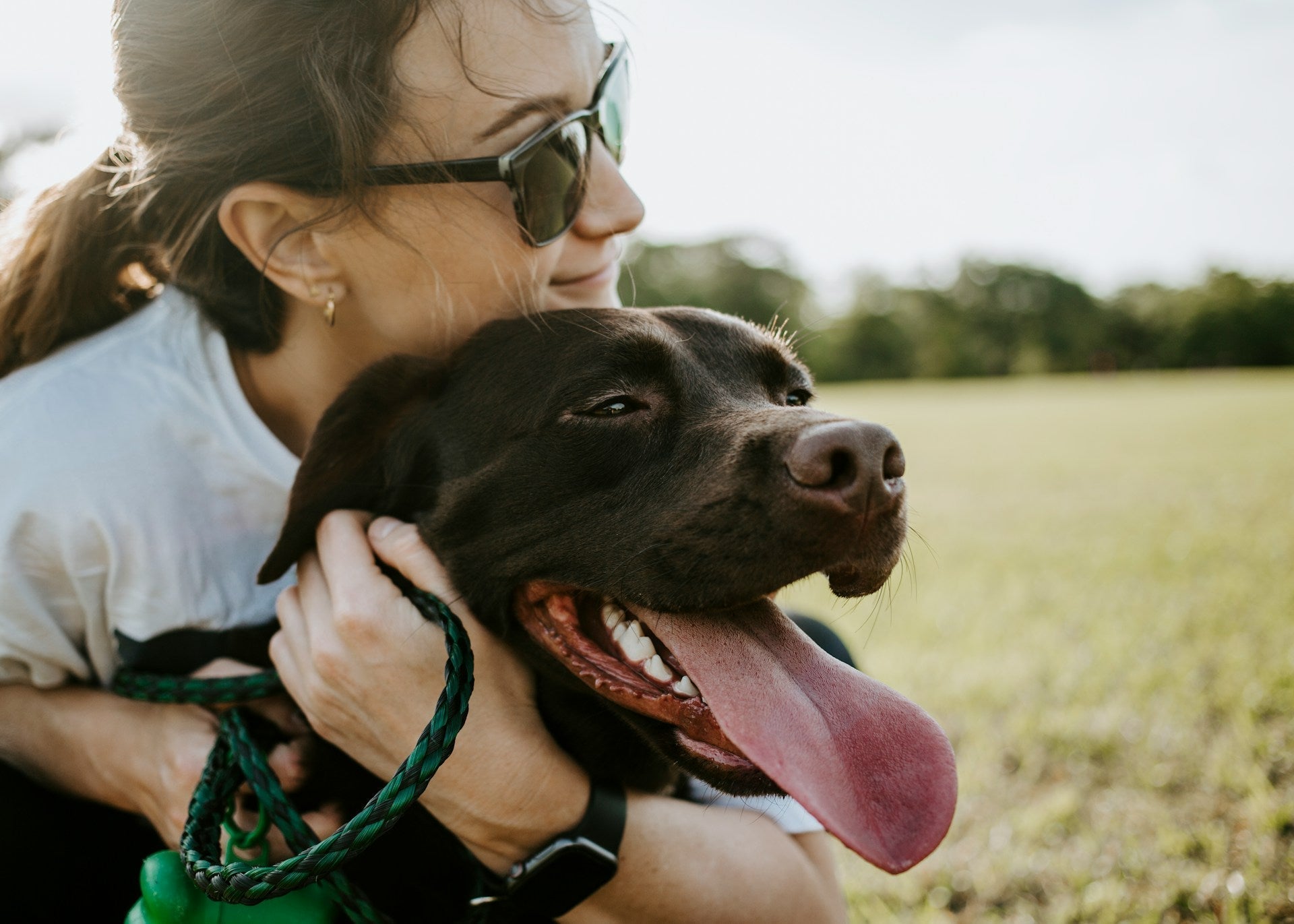 Essential Dog Medical Advice for Every Pet Owner’s Peace of Mind