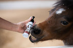 Dragon's Blood Natural Spray | Kawell USA