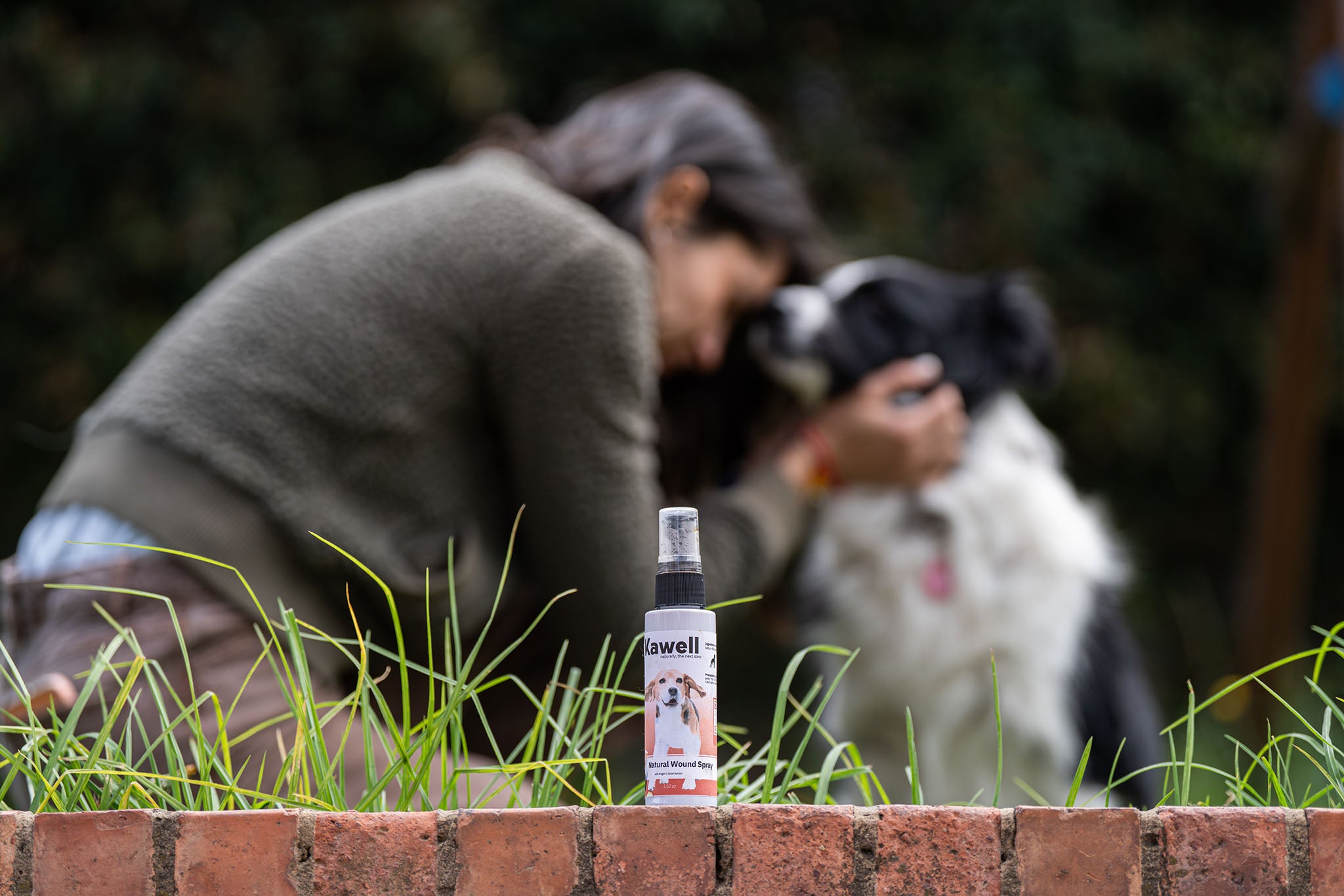Dragon’s Blood Natural Wound Spray – Dogs