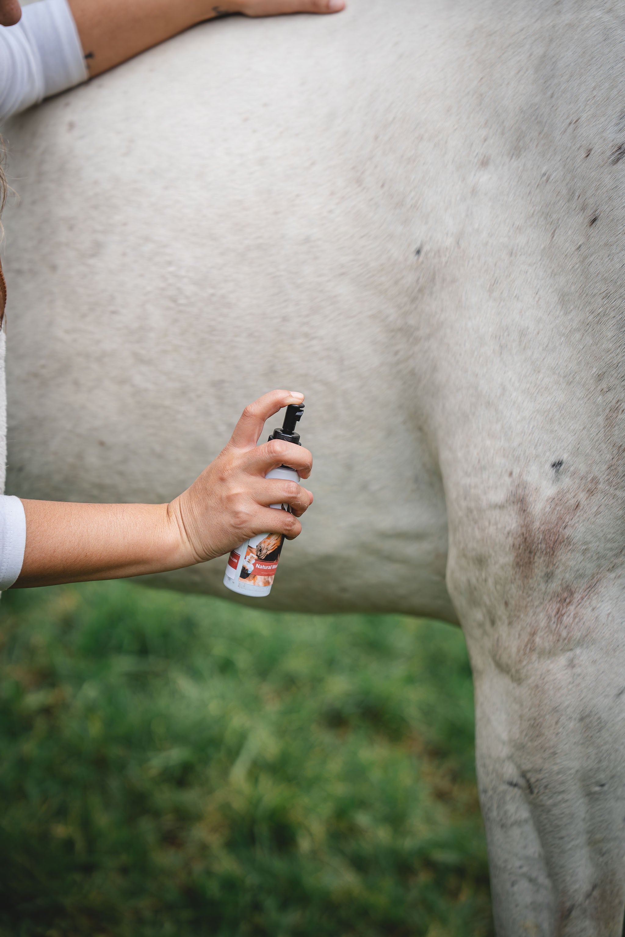 Dragon’s Blood Natural Wound Spray - Horses