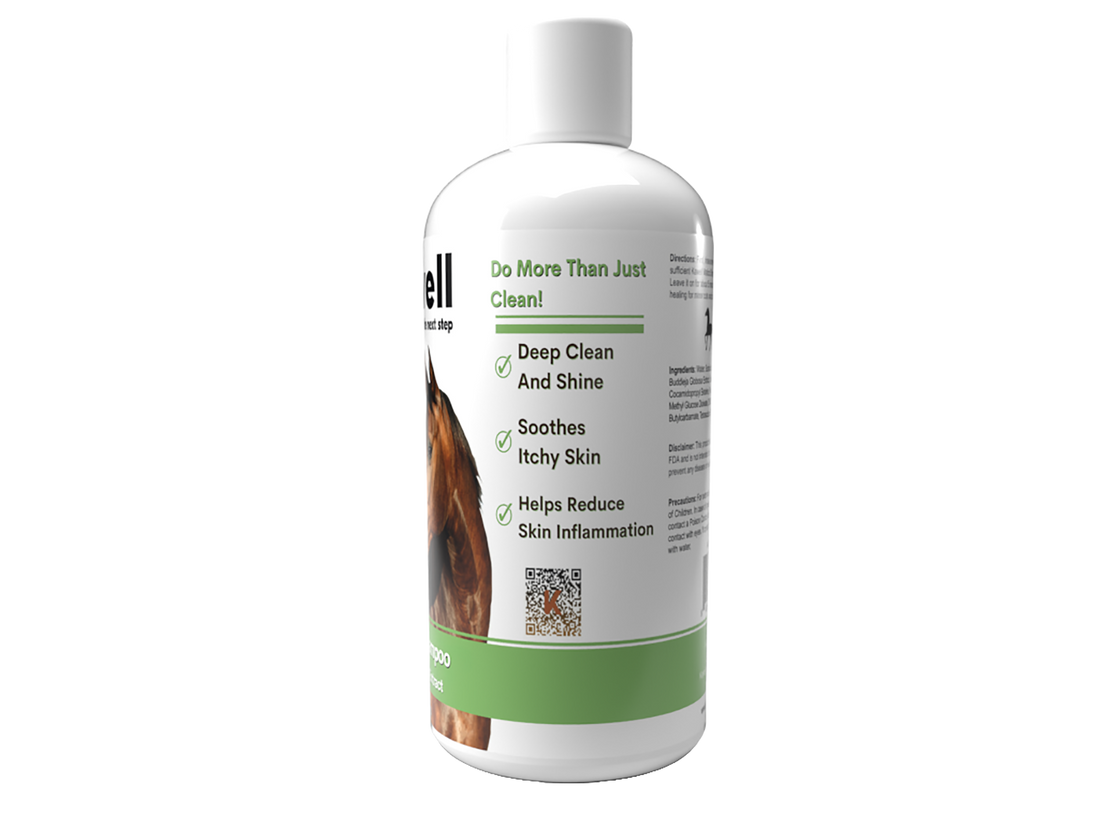 Matico Horse Shampoo