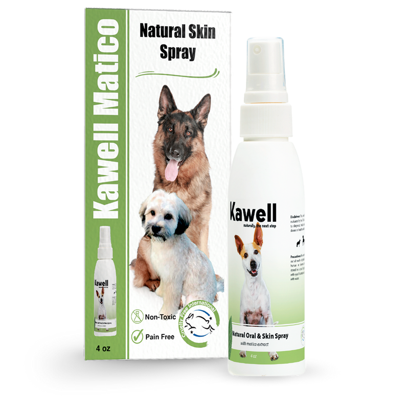 Matico Natural Skin Spray for Dogs