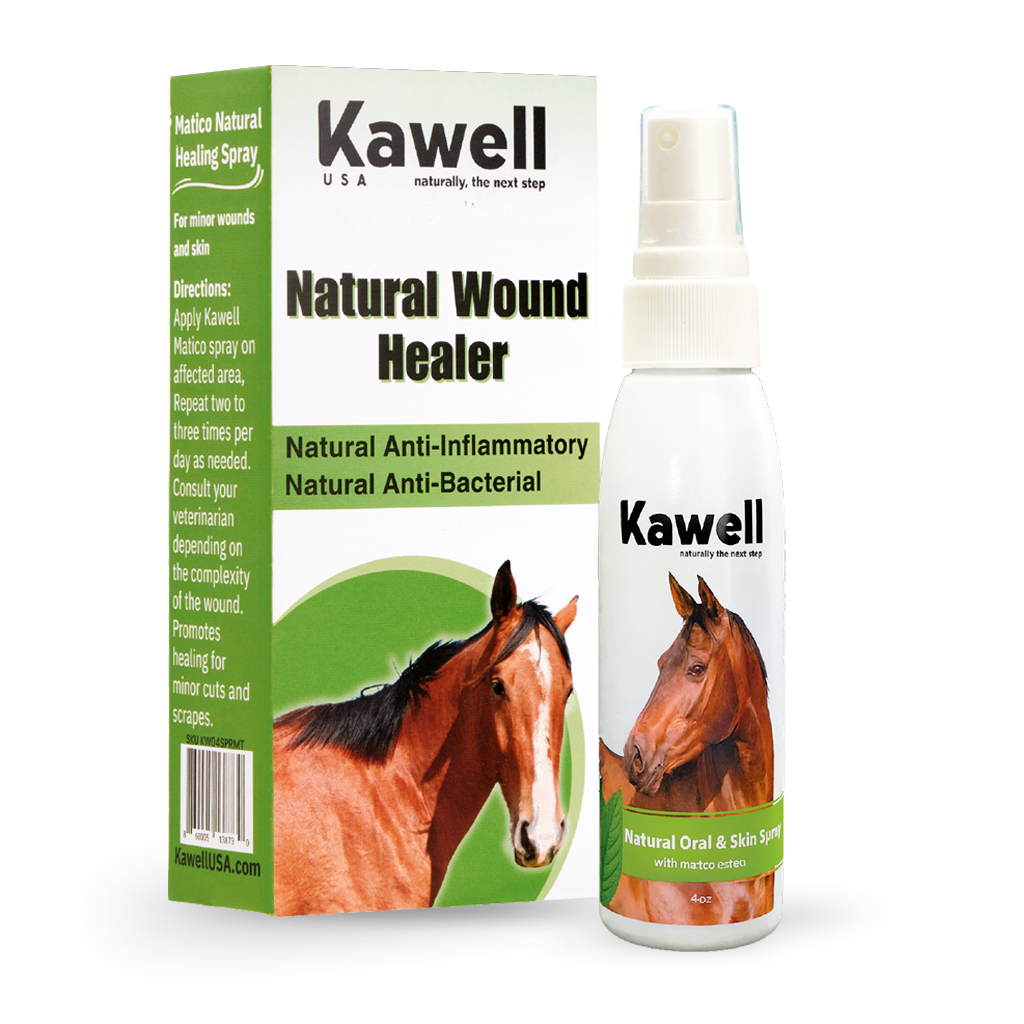 Matico Natural Skin Spray for Horses