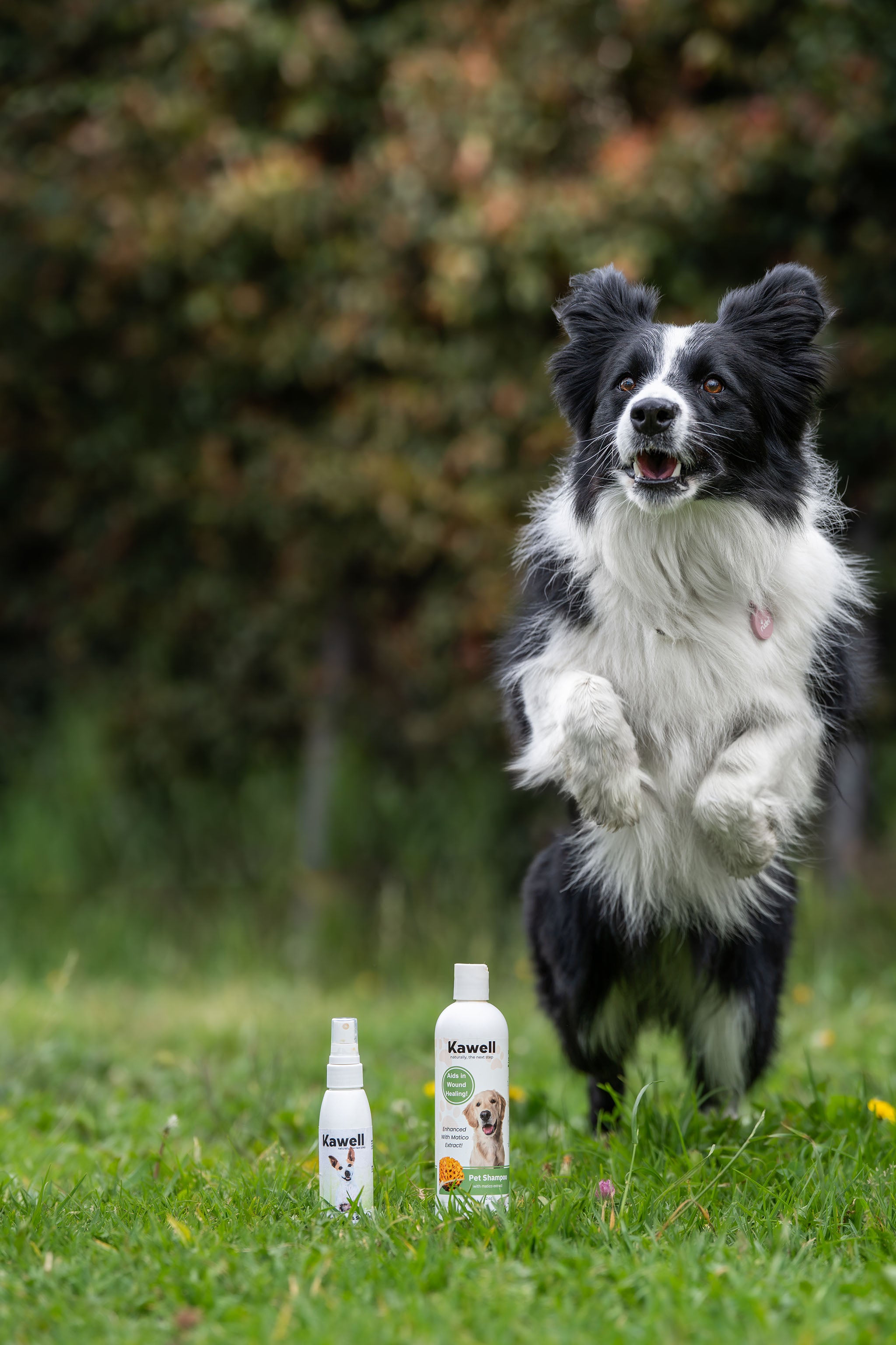 Matico Pet Shampoo