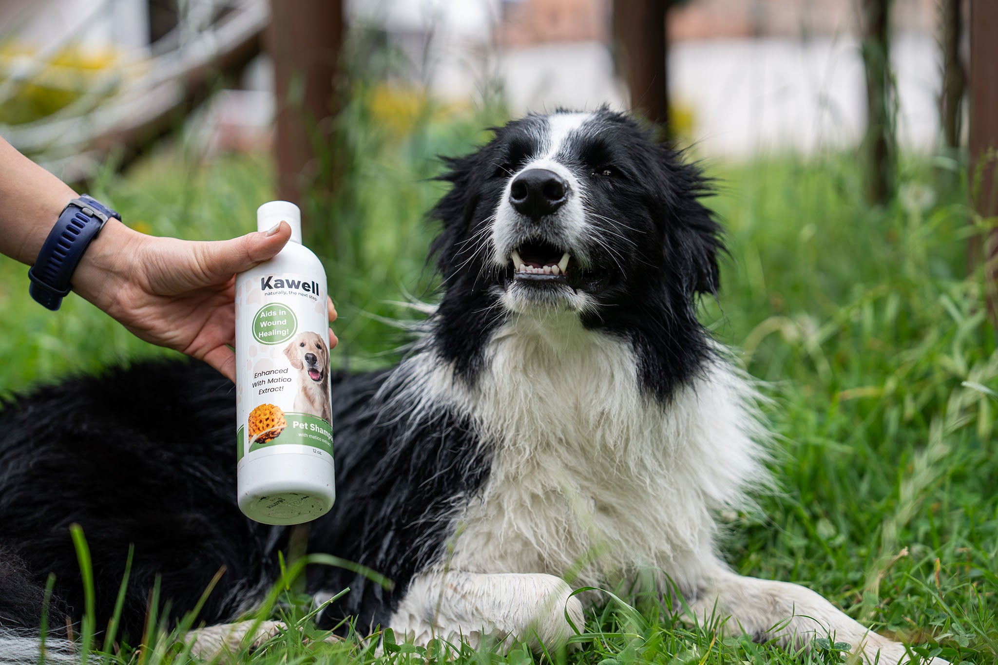 Matico Pet Shampoo