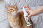 Matico Natural Skin Spray for Cats