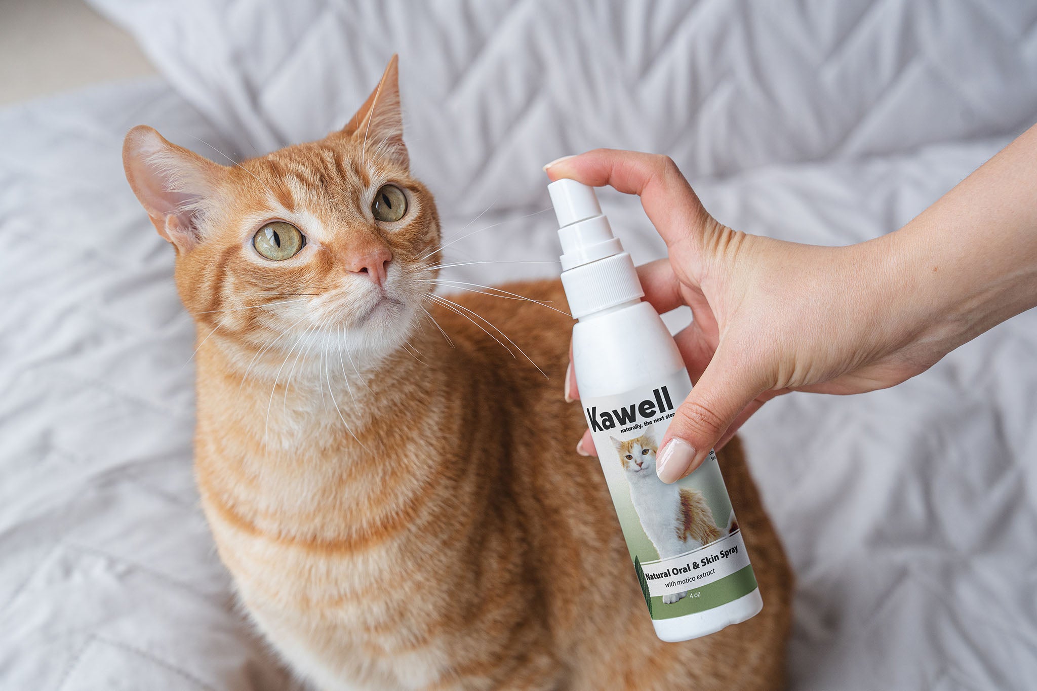 Matico Natural Skin Spray for Cats