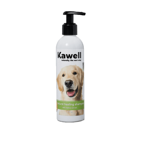 Matico Natural Healing Shampoo - Pet | Kawell USA