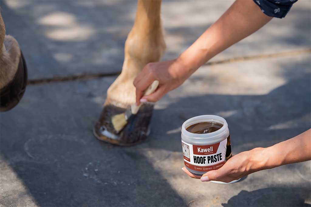 Horse Hoof Paste