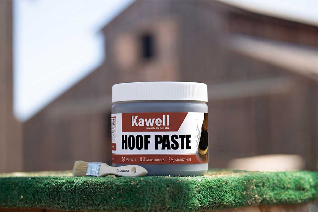 Horse Hoof Paste