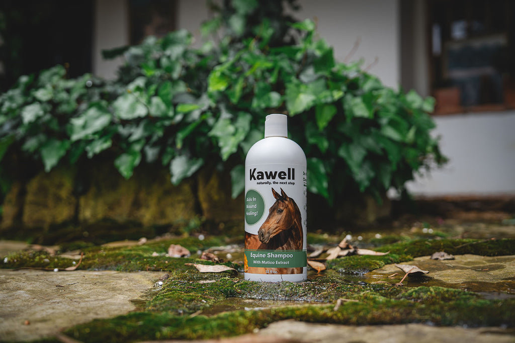 Horse Matico Shampoo
