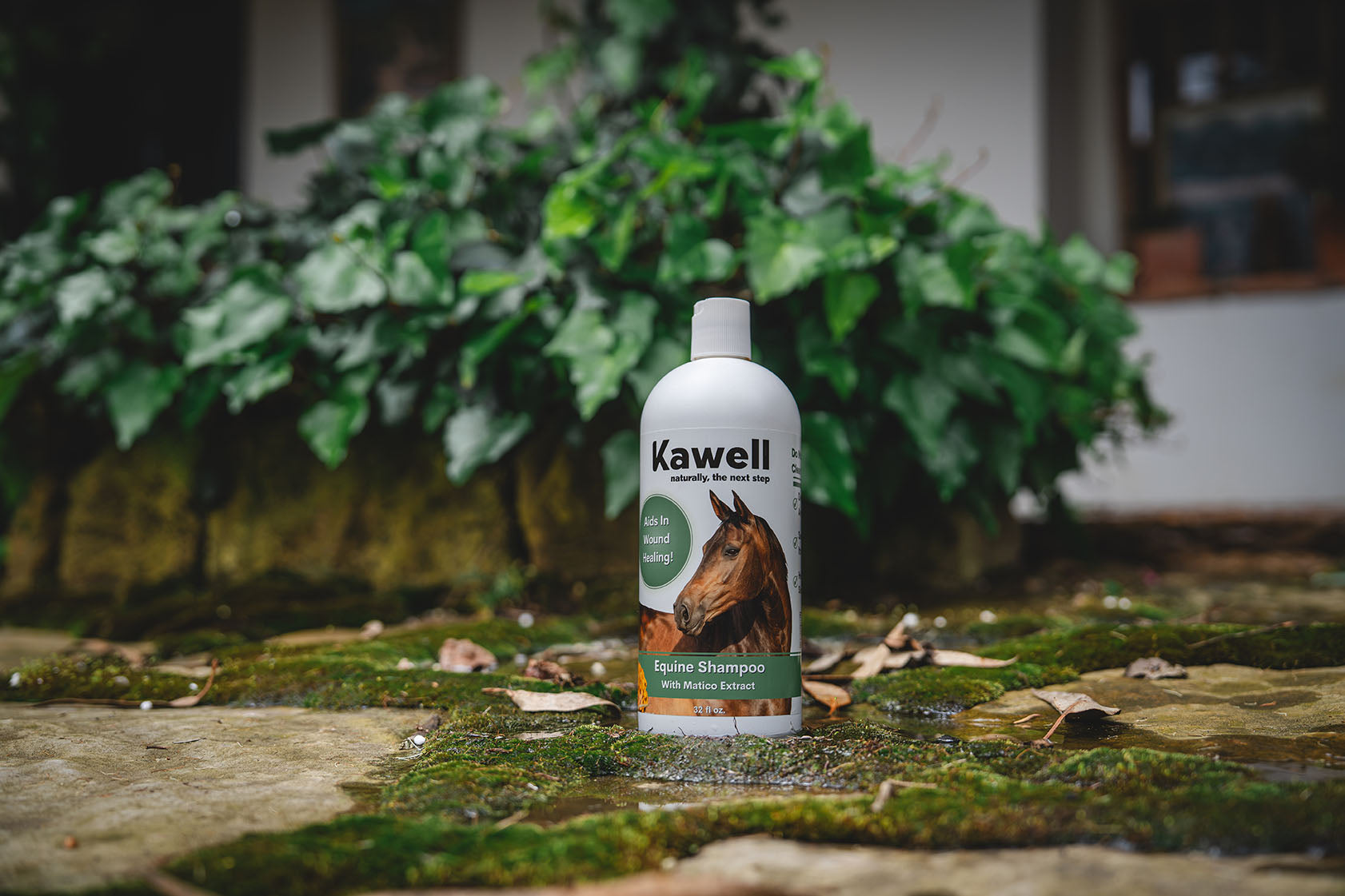 Horse Matico Shampoo