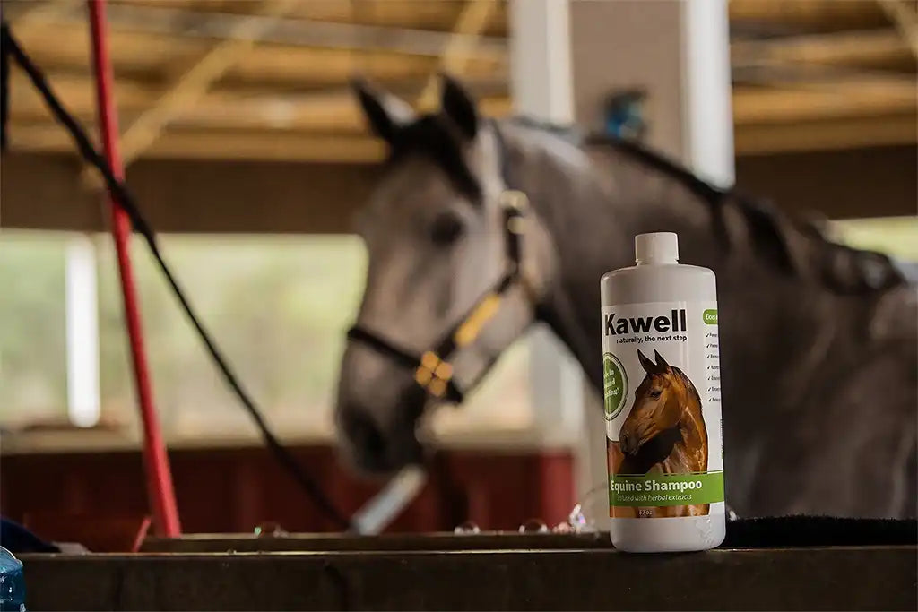 Horse Matico Shampoo