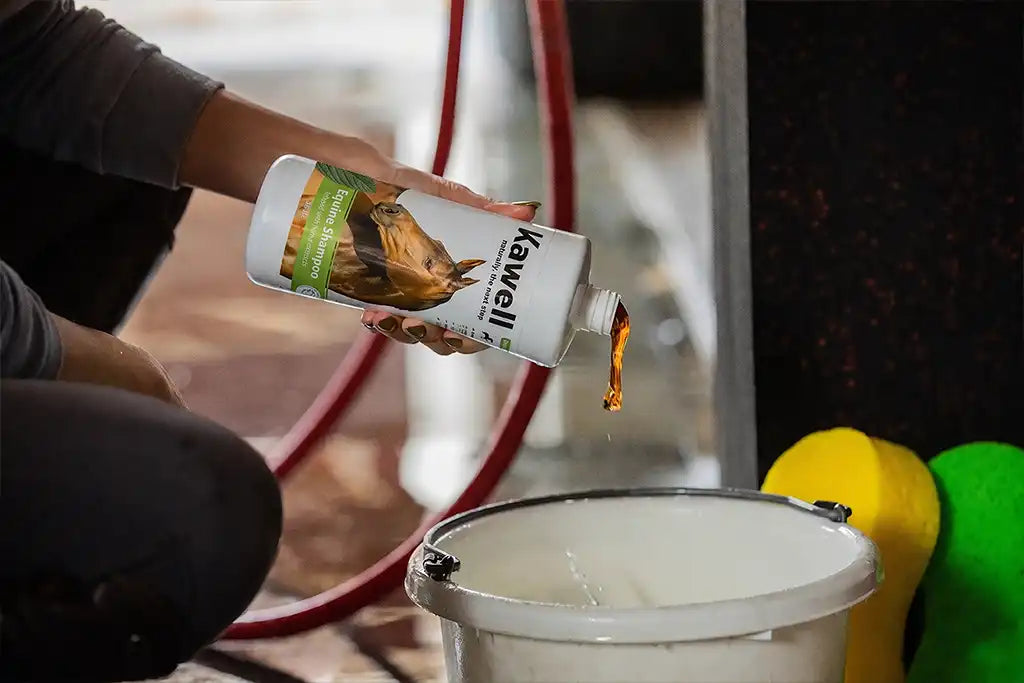 Horse Matico Shampoo