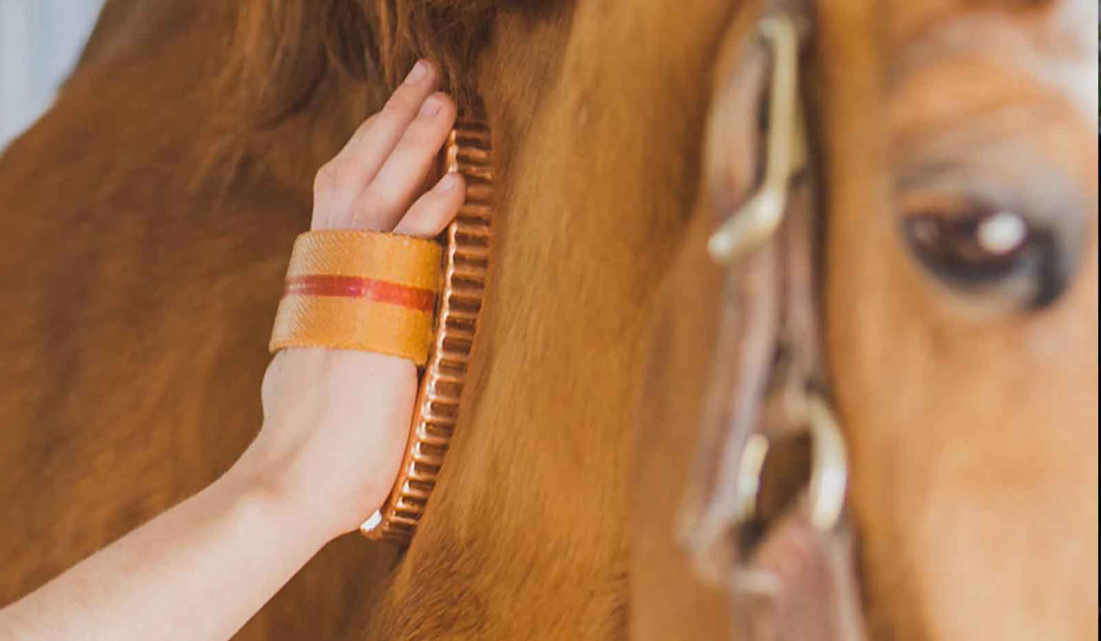 Person grooming a horse with a Kawell curry brush, close-up of hand and horse's face.