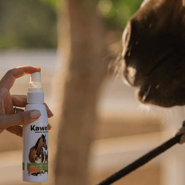 Horse Matico Natural Healing Spray | Kawell USA