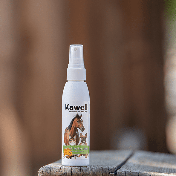 Matico Natural Healing Spray
